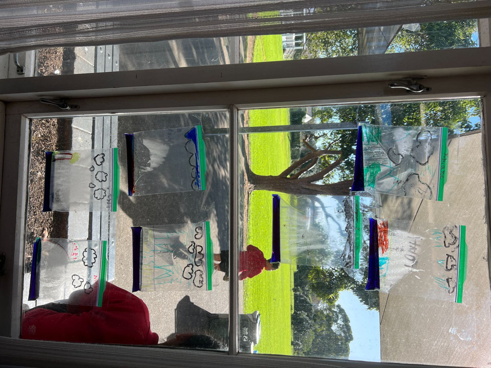 Water Cycle In A Bag Jilliane Pt England School